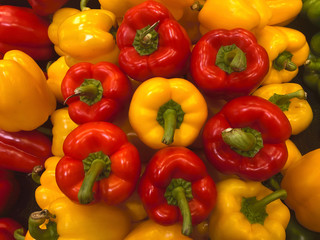 Arrangement of Bell peppers symbolizing the concept of unity in diversity