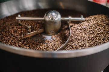 Freshly light roasted arabica coffee beans cooling in a roasters drum.