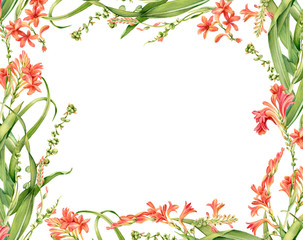 Fototapeta premium Watercolor floral background. Colourful frame isolated on white and place for text. Banner with flowers. Realistic botanical illustration for wedding design, cosmetics, advertising