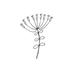 Decorative plant inc hand drawn floral design element stock vector illustration for web, for print, clip art