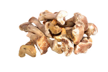 chicken bones isolated on white background