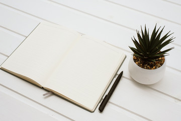 Top view open notebook, pen and plant potted on white desk background