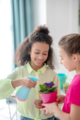 Girl holding a spray bottle over a pot of violets.