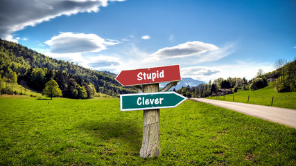 Street Sign Clever versus Stupid