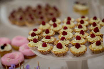 Sweet cakes on a wedding buffet table