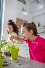 Teenager girl planting seeds in a pot at home.