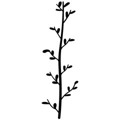 vector black silhouette of a tree branch
