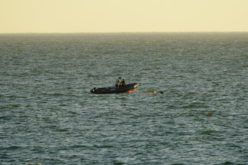 windsurf