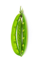 Sugar Pea on white background