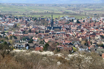 Gau-Algesheim, Rheinland-Pfalz