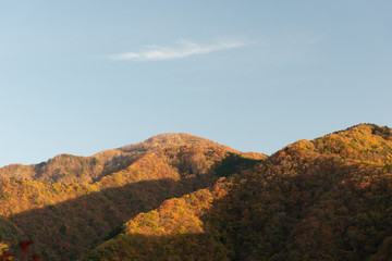 Autumn in the mountains withe blue sky background.