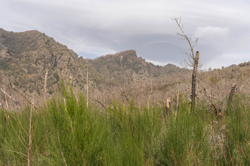 Landscape at the foot of Vesuvius in cloudy weather, Italy