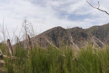 Landscape at the foot of Vesuvius in cloudy weather, Italy