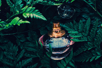 Perfume bottle with aromatic tropical scent in nature, luxury fragrance - obrazy, fototapety, plakaty