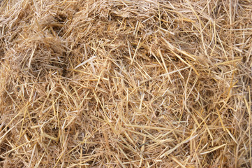 Hay texture. Hay bales are stacked in large stacks. Harvesting in agriculture.