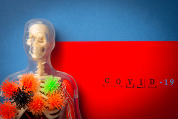 Human model infects lungs with Virus COVID-19