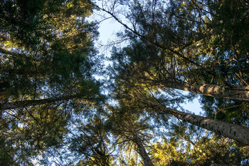 Obraz premium Pirineos