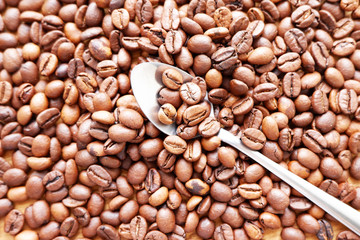 Whole coffee beans background and metal spoon. Flat lay style