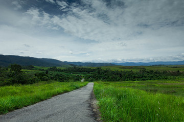 Road getting to mountains, Napu Village, Indonesia