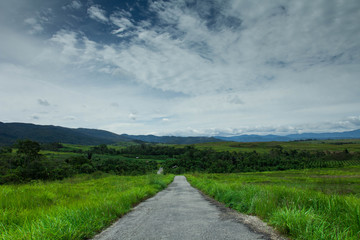 Road getting to mountains, Napu Village, Indonesia