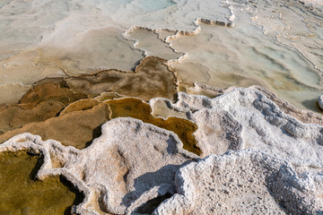 mammoth hot springs yellowstone national park 