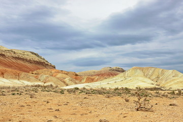 Altyn- Emel Nature Park, Kazakhstan, 2018.
