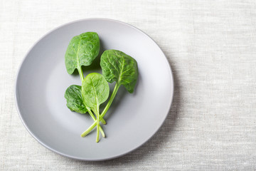 Fresh spinach leaves on a grey plate on a linen tablecloth