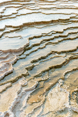 mammoth hot springs yellowstone national park 