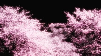 ピンク色に染まる抽象的な桜のイラスト