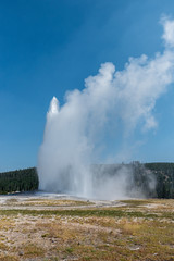 Fototapeta na wymiar geyser yellowston national park