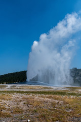 geyser yellowston national park