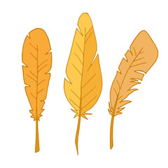 Set of feathers. Isolated feathers on a white background. Outline illustration. Vector. Flat illustration. Three feathers. Yellow feather.