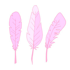 Set of feathers. Isolated feathers on a white background. Outline illustration. Vector. Flat illustration. Three feathers. Pink feathers. Tender picture.