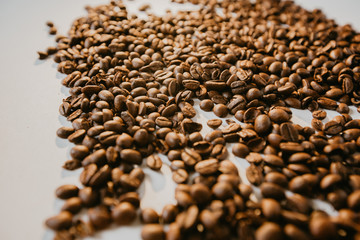 Coffee beans on a white background / Background