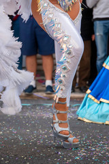 Carnival parade festival participants