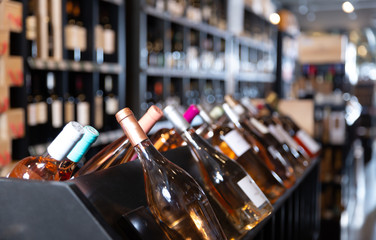 Rack with sparkling wine bottles in wine store