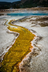 geyser yellowstone national park