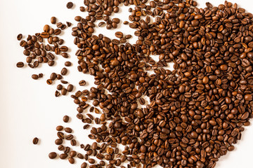 Coffee beans on a white background / Background