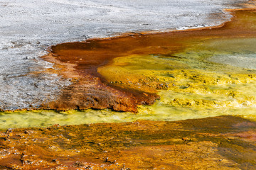 geyser yellowstone national park