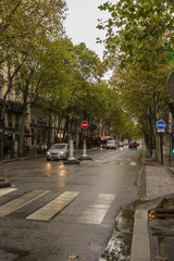 Paris in Autumn 