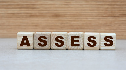 concept of the word ASSESS on cubes on a wooden background