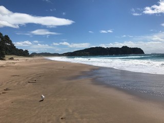 New Zealand, Hot Water Beach
