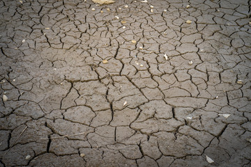 Dry crack ground background.