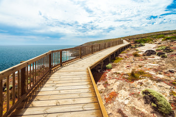 Obraz premium Admirals Arch Walk, Kangaroo Island, South Australia
