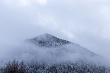 View of the forest and the mountains in the mist in winter - Morzine Valley, France