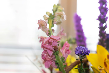 Naklejka premium Spring flowers in a basket