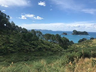 New Zealand, Cathedral Cove