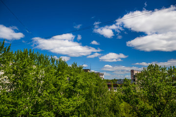 Blue Sky & Green Trees