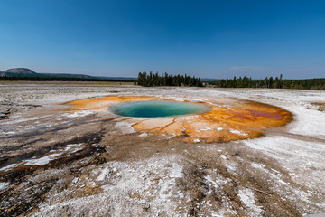 geyser yellowstone national park