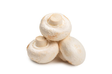 Champignon mushroom isolated on white background.
